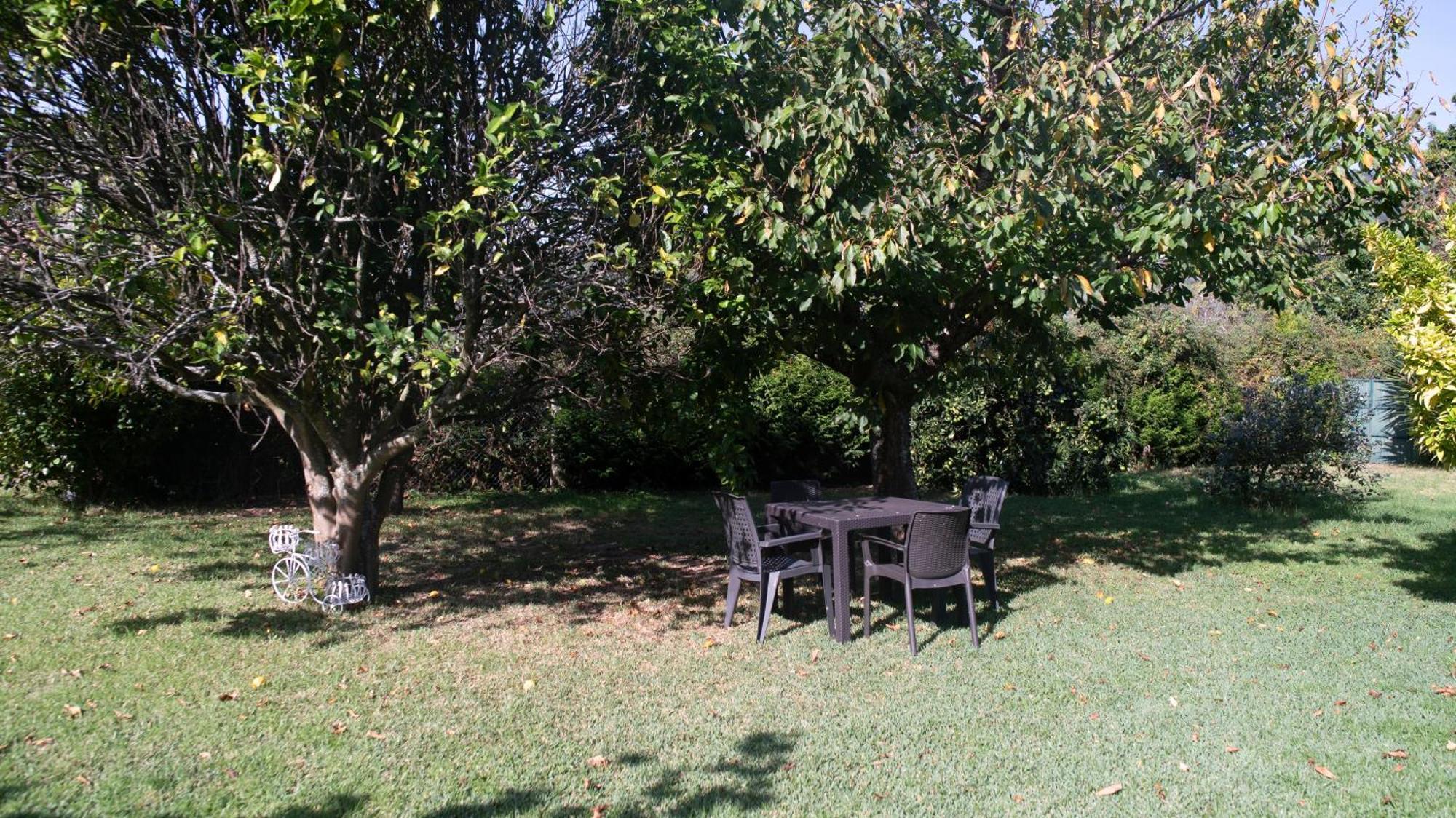 Apartamentos Rias Baixas Moaña Eksteriør billede
